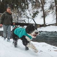 A woman skis with her dog in the snow