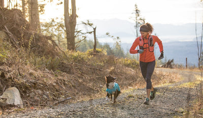 Krissy + PD trail run along forest roads.