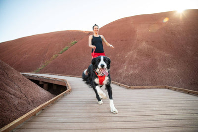 Woman and dog run together on a boardwalk in the desert