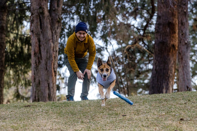 A man throws a Gnawt-a-Stick™ toy for his dog who chases after it. 