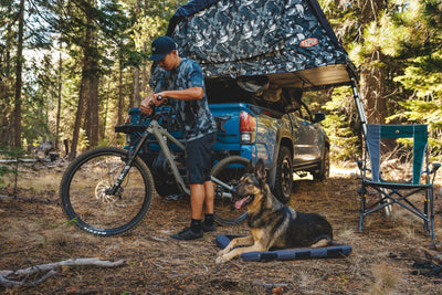How To Camp With Your Dog