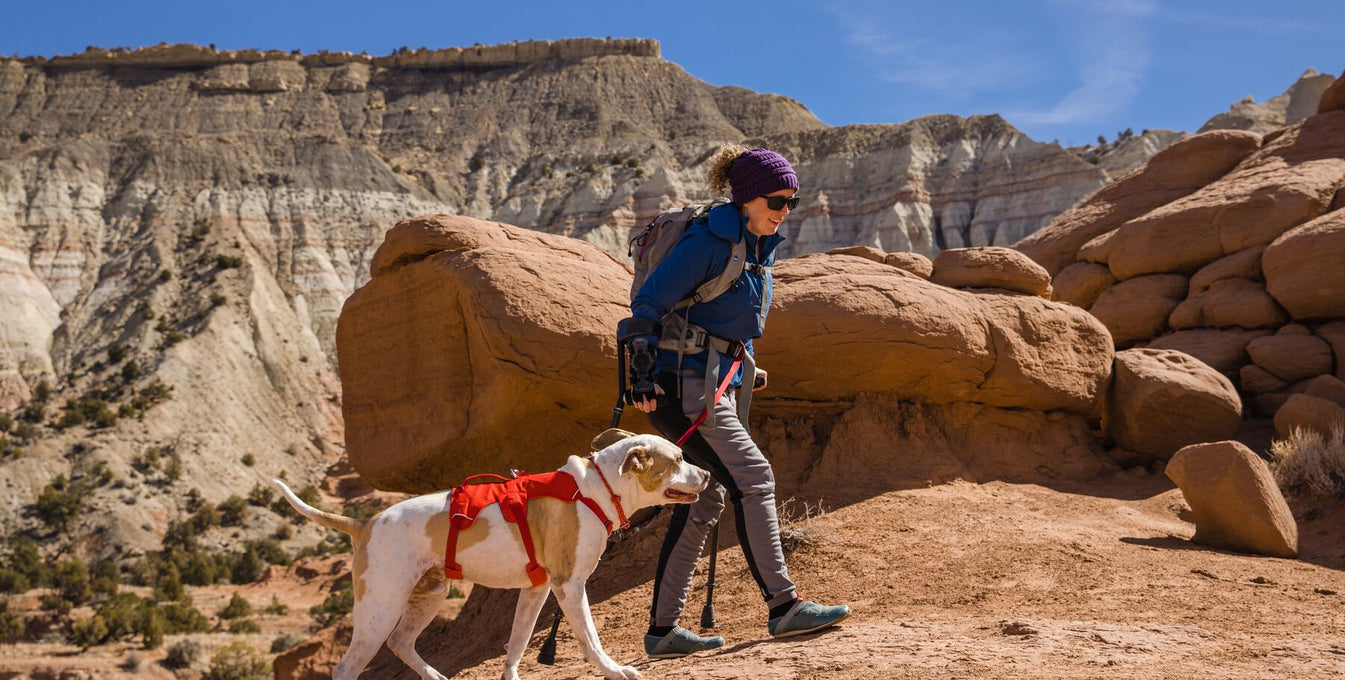 Woman hiking with her dog.