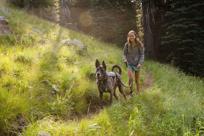 A woman walks with her dog in a meadow.