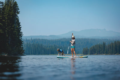 SUP Pup 101: How to Paddleboard with Your Dog