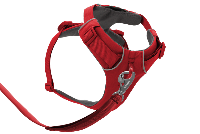 Front Range® Dog H