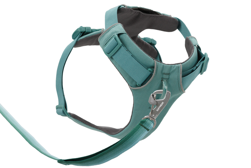Front Range® Dog H