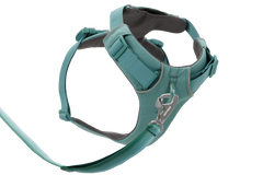 Front Range® Dog H