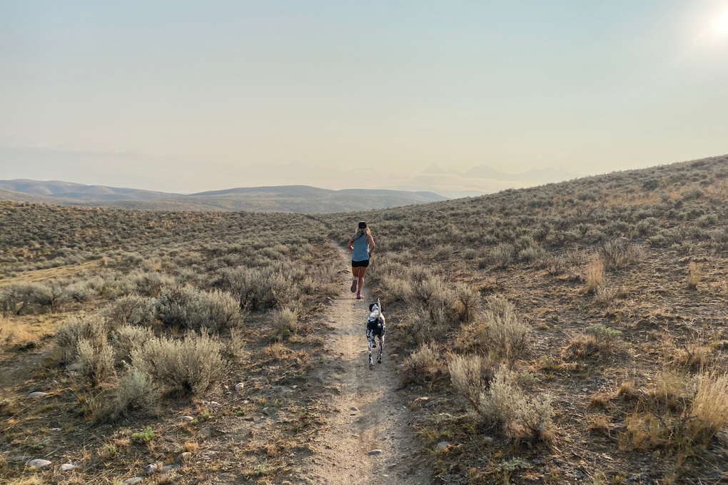 Guide for how to run with your dog.