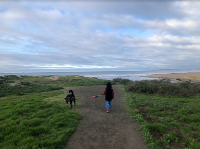 Young boy and dog walk on a trail together