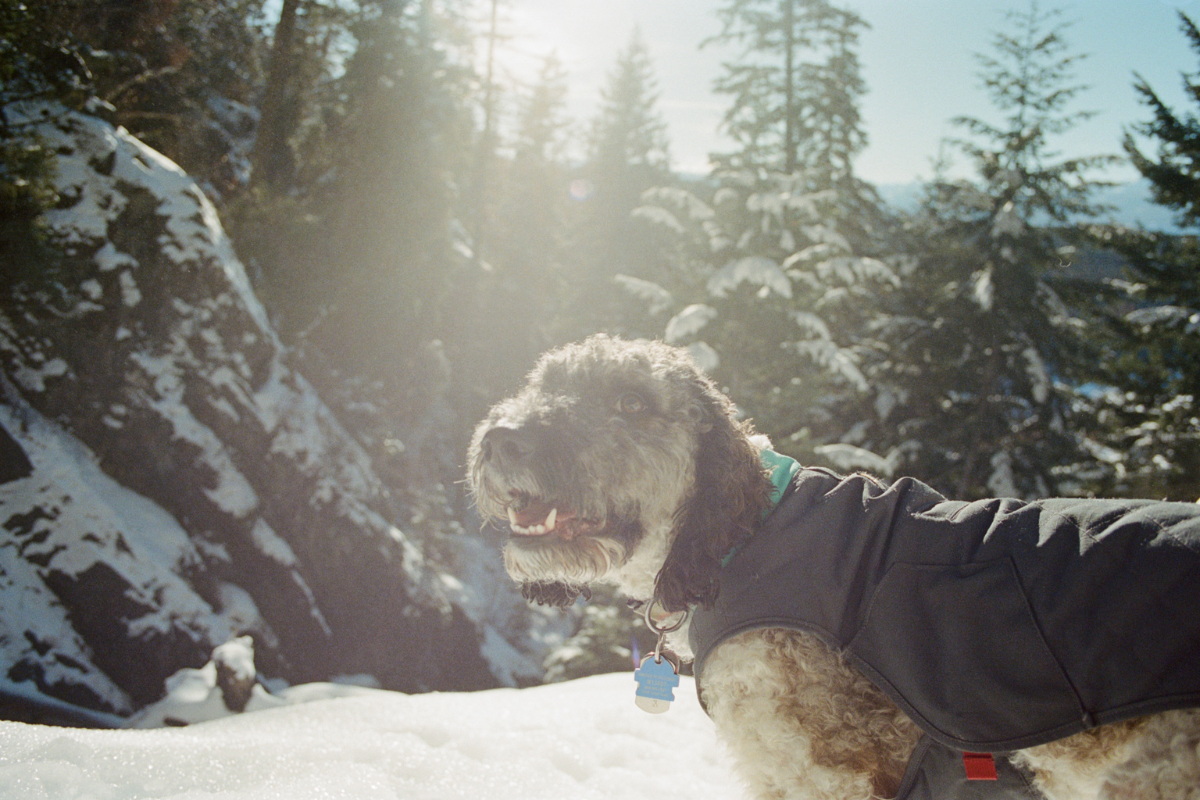 Alberto in the snow.