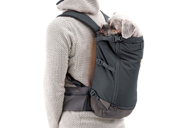 Basalt Gray